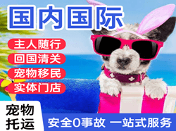 沈阳机场物流国际宠物托运 【国